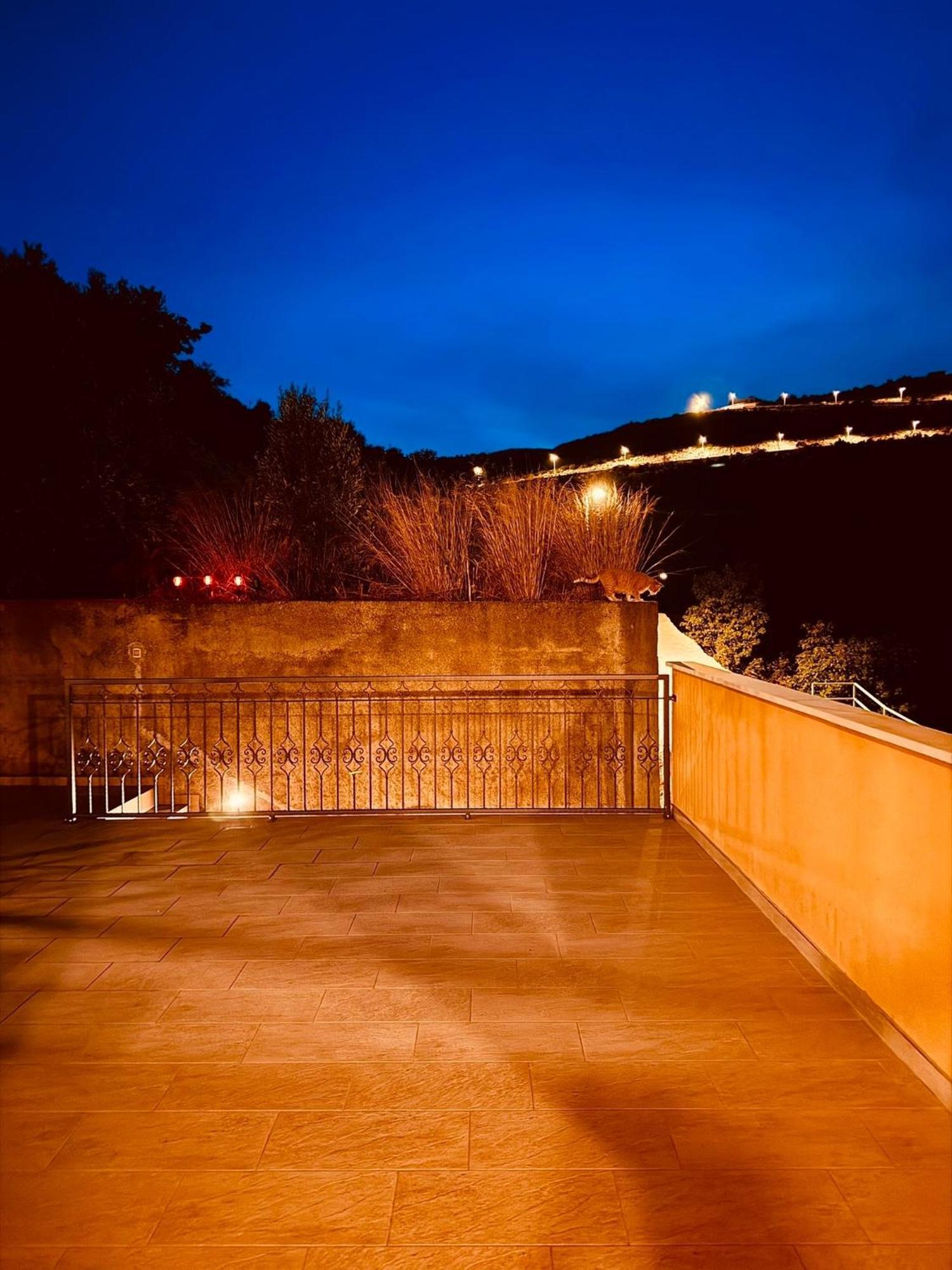 Adriatic Escape Appartments Mokosica Luaran gambar